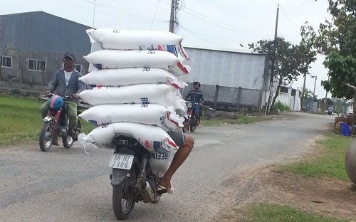 Buôn lậu đường cát ở Hà Tiên (Kiên Giang). Ảnh: THỐT NỐT