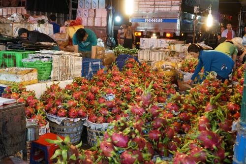 Nông sản Việt được xuất khẩu đi nhiều nước trên thế giới, kể cả những thị trường khó tính nhất hiện nay. Ảnh: TTXVN