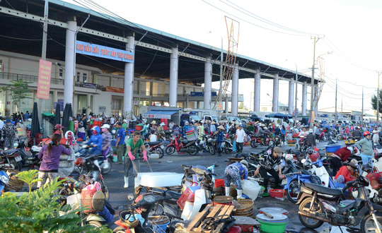 Cảng cá Thọ Quang, TP Đà Nẵng là chợ đầu mối hải sản lớn nhất miền Trung