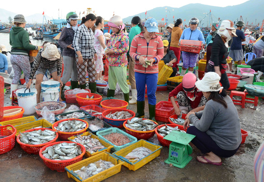 Thương lái các nơi đến cảng cá Thọ Quang để mua cá đưa về phân phối cho các chợ