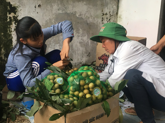 Xã viên HTX nông sản an toàn An Hòa (Đồng Tháp) đóng gói nhãn chuẩn bị đưa về TP HCM tiêu thụ