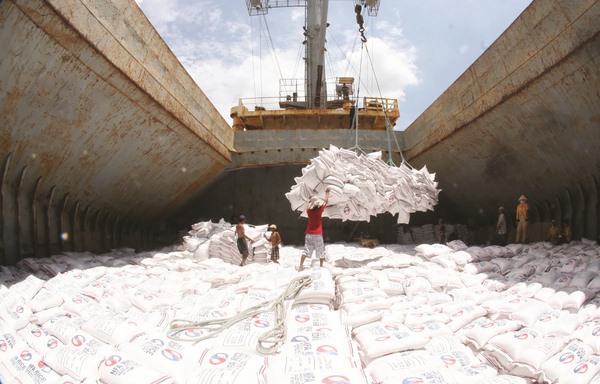 Việc tăng cường kiểm soát nhập khẩu gạo của Trung Quốc sẽ gây khó khăn đáng kể cho xuất khẩu gạo Việt. Ảnh: ST.  