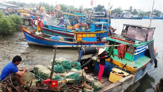 Ngư dân huyện Cần Giờ phòng chống bão số 16 (Tembin) hồi cuối năm 2017.