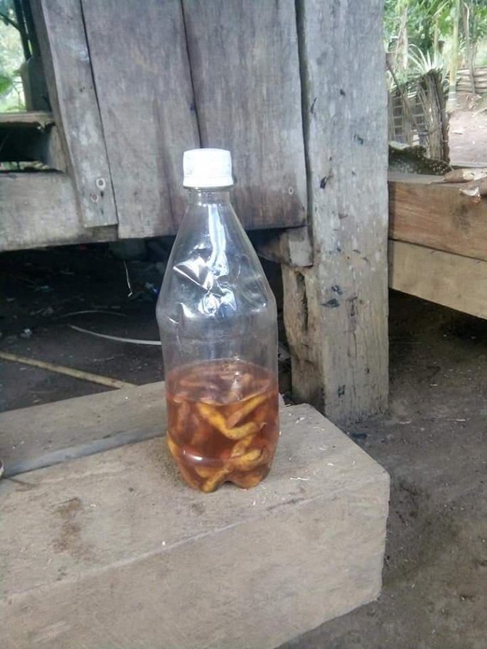     Chai rượu chứa rễ cây lạ mà hai cậu cháu ở Quảng Nam đã uống và thiệt mạng. (Ảnh: T.A)  