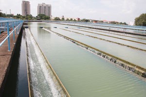 Nhà máy Nước Thủ Đức phải tốn thêm chi phí hóa chất để xử lý các tạp chất do nguồn nước sông Đồng Nai bị ô nhiễm Ảnh: SỸ ĐÔNG