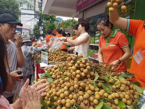  Xuất khẩu rau quả của Việt Nam đang có dấu hiệu chững lại. Ảnh: Nguyễn Thanh 