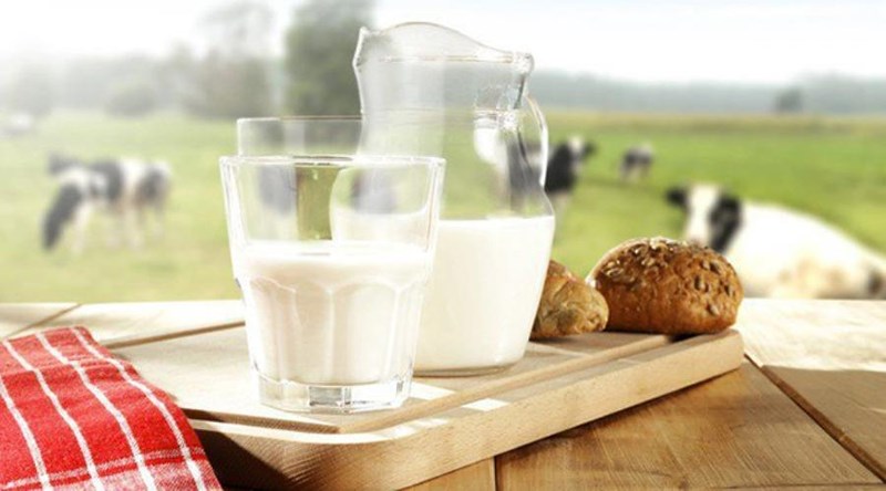 Dị ứng sữa bò là phản ứng của hệ thống miễn dịch của cơ thể trẻ với thành phần protein có trong sữa. Ảnh: Internet