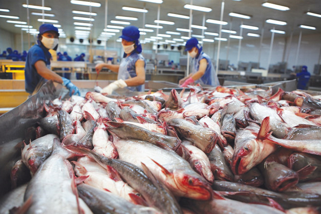 Nhiều doanh nghiệp hải sản trong nước đang gặp khó khi vào siêu thị nội địa dịp Tết Kỷ Hợi 2019.