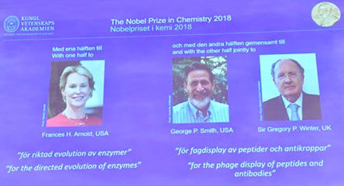 Ảnh của các nhà khoa học đoạt giải Nobel Hóa học 2018: Frances H. Arnold, George P. Smith và Gregory P. Winter trên màn hình tại lễ công bố. Ảnh: REUTERS