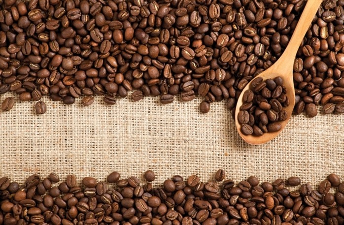 Cà phê tiếp tục tiến dần tới mốc 37.000 đồng/kg khi tăng thêm 200 đồng/kg so với ngày hôm qua. Ảnh: IT
