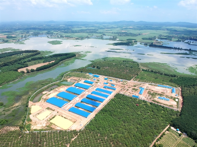 Trang trại heo khổng lồ xây dựng sát bên hồ Trị An - nguồn cấp nước quan trọng cho TP.HCM và tỉnh Đồng Nai - Ảnh: Lê Nguyễn