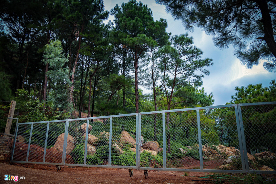 Những cánh rừng phòng hộ tại 2 xã Minh Trí và Minh Phú đang bị các hộ dân tự ý chặt cây, xây hàng rào, chăng dây thép gai và xây dựng công trình sai phép.