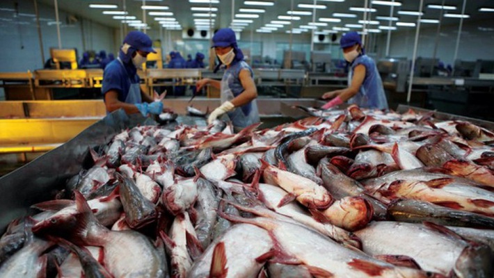 Giá trị xuất khẩu cá tra 9 tháng năm 2018 đạt 1,68 tỷ USD, tăng 29,2% so với cùng kỳ năm 2017.    