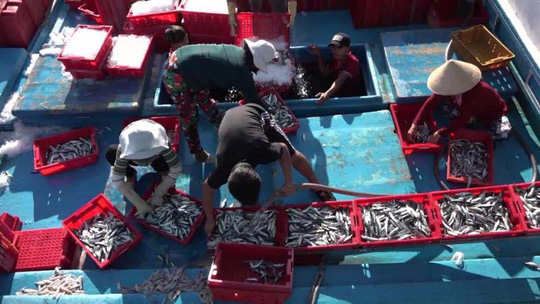 Ngư dân Bình Thuận nhận thức rõ phải tuân thủ quy định về đánh bắt trên biển để nỗ lực gỡ “thẻ vàng” cho thủy sản Việt Nam Ảnh: VIỆT KHÁNH    