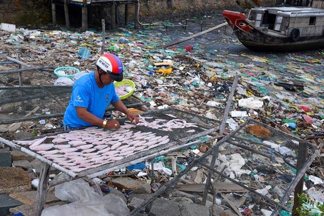 Ngư dân phơi mực ngay cạnh bờ biển đầy rác tại cửa biển Cần Giờ, TP.HCM 8/2018