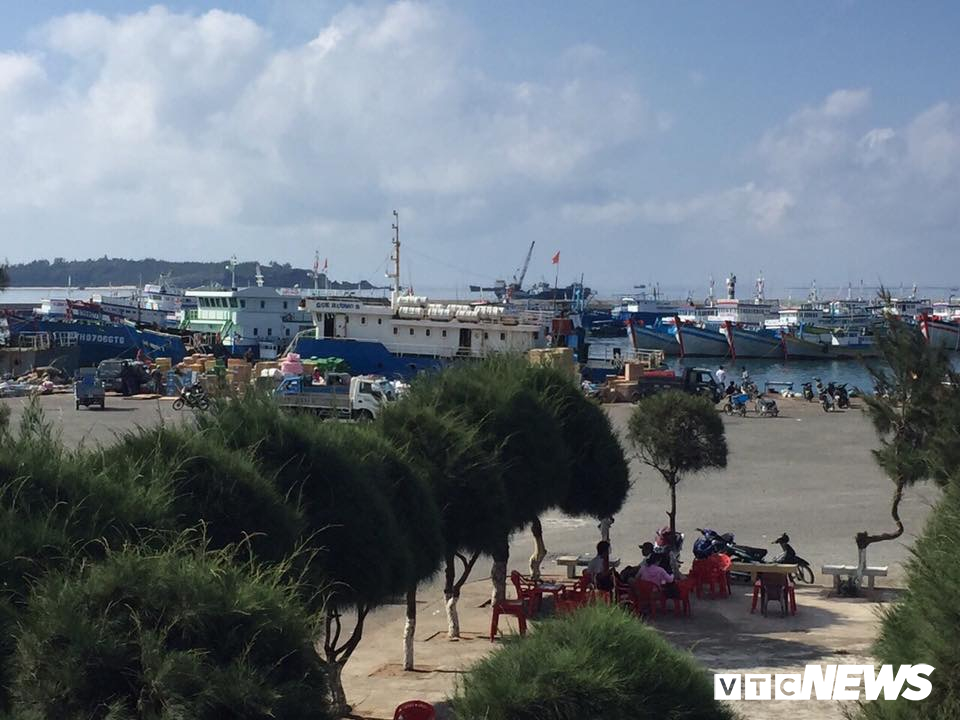  Hàng trăm tàu bè đảo Phú Quý đã di tản về neo đậu ở các âu tàu ở Phan Thiết.     