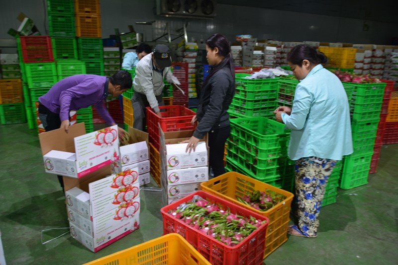 Trung Quốc vẫn đứng vị trí thứ nhất về thị trường nhập khẩu rau quả của Việt Nam với 74% thị phần.