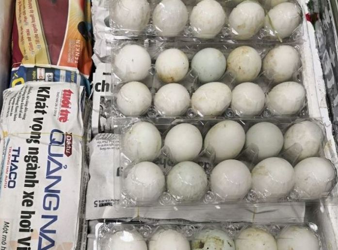 Mang trứng vịt lộn vào Singapore, một phụ nữ Việt bị phạt 7.000 USD