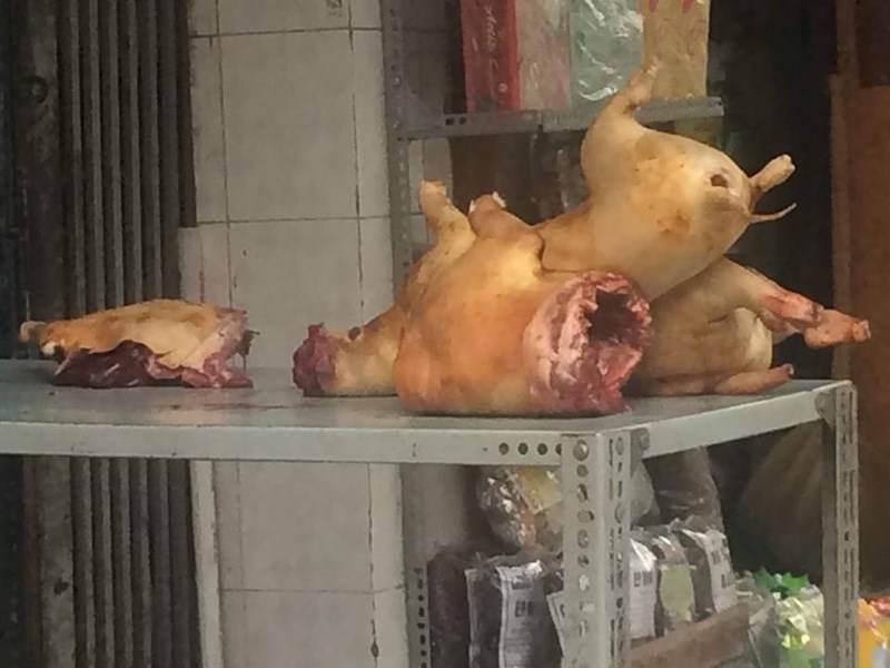 Người ăn thịt chó dại nếu không được chế biến kỹ cũng có nguy cơ mắc bệnh. Ảnh: NGUYÊN VÕ


