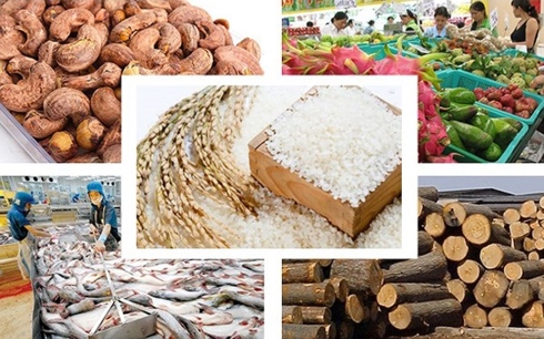 Giá trị xuất khẩu nông sản của Việt Nam hiện đứng thứ 15 trên thế giới  