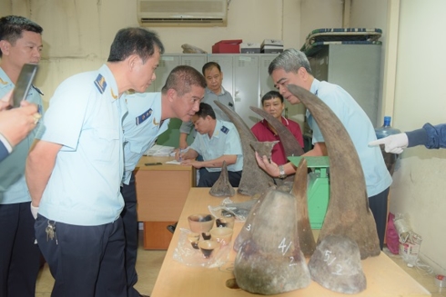 Lực lượng Hải quan cửa khẩu sân bay quốc tế Nội Bài thu giữ 34kg sừng tê giác vận chuyển trái phép từ Nam Phi về Việt Nam  