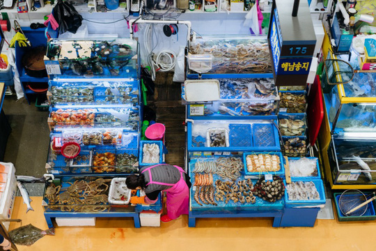 Mở cửa từ năm 1927, Noryangjin là một trong những khu chợ lớn và lâu đời nhất Seoul (Hàn Quốc). Các cửa hàng ở đây làm việc tất bật quanh năm và mở cửa 24 giờ một ngày. Theo thống kê, có 250-300 tấn thủy sản được bán ra hàng ngày tại Noryangjin.    