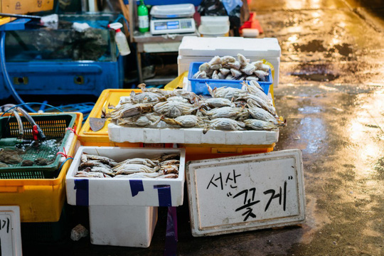 Chợ Noryangjin có đa dạng các loài thủy sản khác nhau, đủ thỏa mãn bất kỳ nhu cầu của thực khách cũng như nhà hàng nào. Từ những món hải sản quen thuộc như cua, tôm, cá đến các mặt hàng xa hoa như cua hoàng đế, nhím biển, hàu tươi... đều có mặt tại khu mua bán này.    