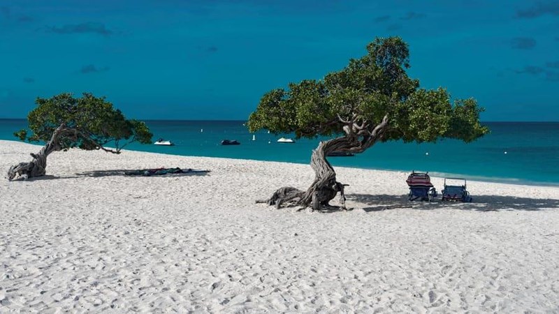 Eagle Beach, Aruba    