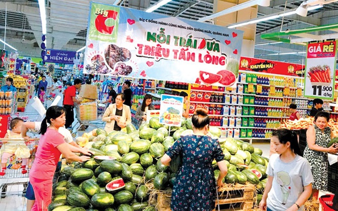  Các hệ thống siêu thị đang tìm kiếm nguồn hàng nông sản ổn định số lượng, chất lượng đưa vào kinh doanh phục vụ người tiêu dùng    