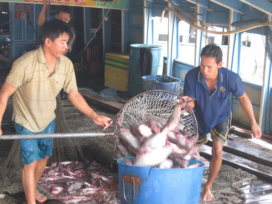 Trung Quốc hiện là thị trường nhập khẩu cá tra lớn nhất của Việt Nam