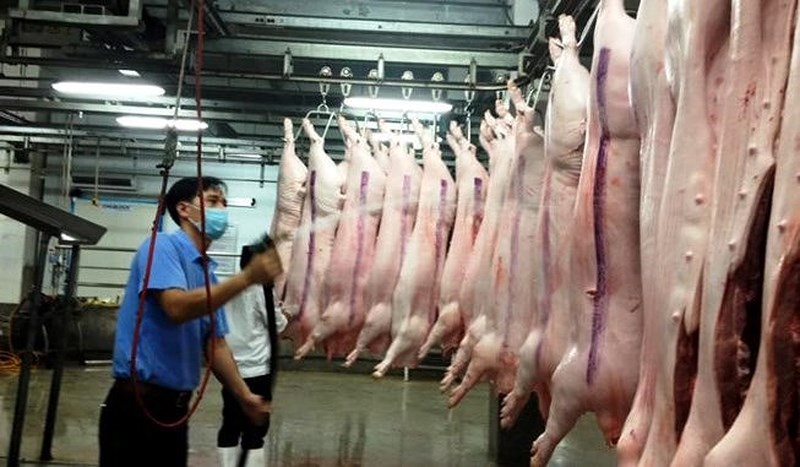 Một thời gian giá thịt lợn giảm mạnh khiến nhiều hộ chăn nuôi thua lỗ lớn và phải đóng cửa chuồng khiến nguồn cung giảm