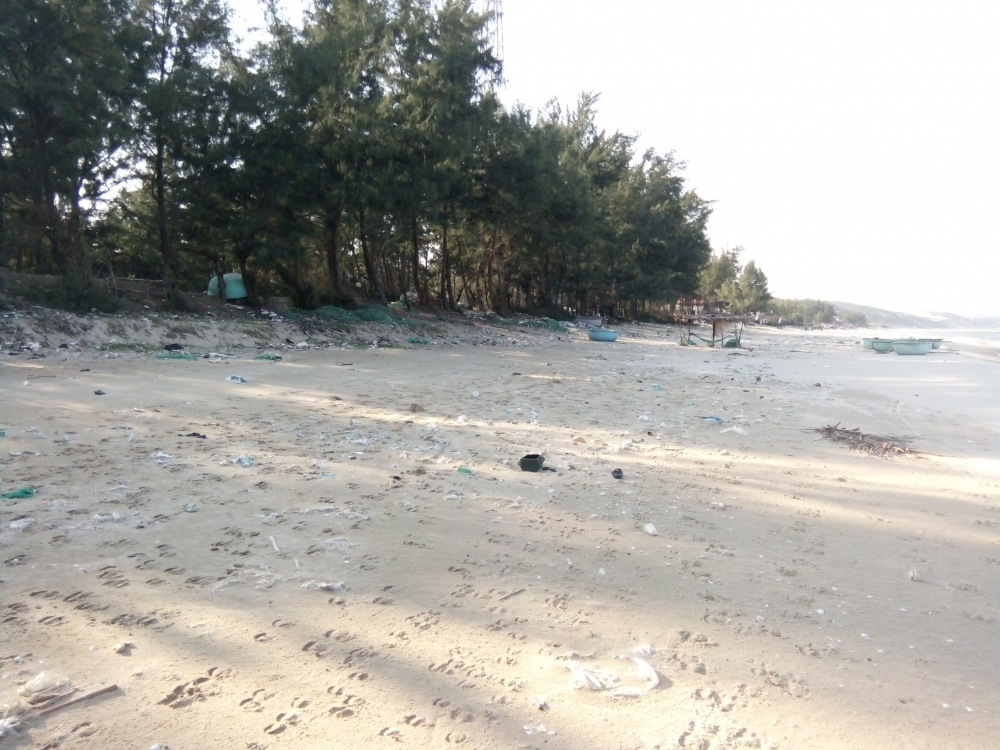 Trong khi đó, bãi biển khu vực này như bãi rác.  
