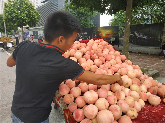 Đào Tiên đẹp mã, ăn có vị ngọt, thơm nhẹ.  