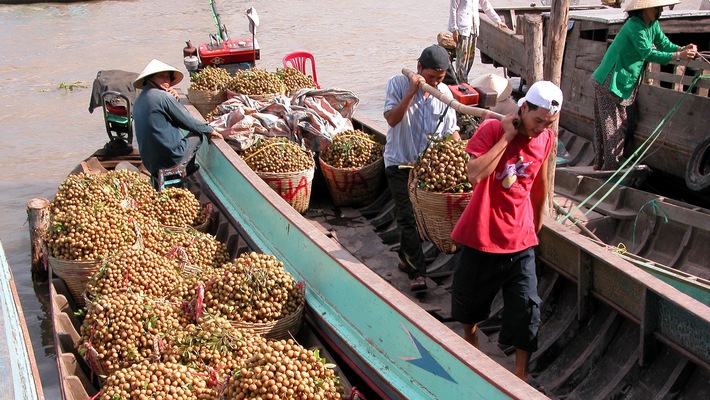 Trung Quốc vẫn đứng vị trí thứ nhất về thị trường nhập khẩu rau quả của Việt Nam trong 11 tháng năm 2018.
