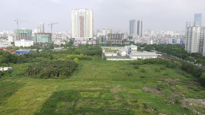 Thanh tra Chính phủ kiến nghị Thủ tướng giao Chủ tịch UBND thành phố Hà Nội chỉ đạo các sở ngành rà soát cụ thể, xác định bổ sung tiền sử dụng đất đối với các dự án do chủ đầu tư xây dựng sai quy hoạch, thu về ngân sách Nhà nước.