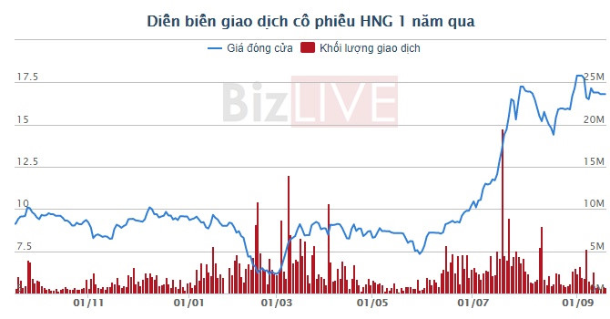 Cổ phiếu HNG tăng giá mạnh thời gian qua