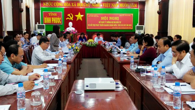 Lãnh đạo Bộ NNPTNT họp với tỉnh Bình Phước và một số tỉnh, thành về việc tìm kiếm nguồn vốn hỗ trợ phát triển ngành điều, tiêu và cây ăn quả    