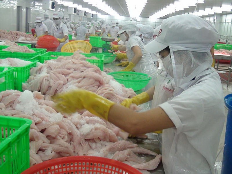 Việt Nam cần kiện Bộ Thương mại Mỹ lên Tòa án Thương mại Quốc tế để bảo vệ quyền lợi ngành cá tra xuất khẩu.     
