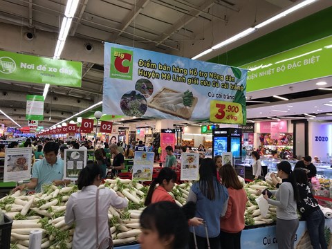 Siêu thị Big C hỗ trợ thu mua, tiêu thụ củ cải cho nông dân huyện Mê Linh
