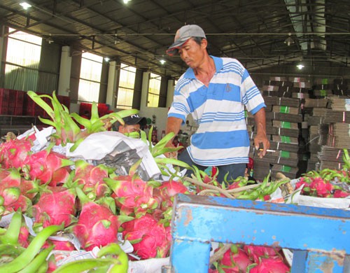 Trung Quốc siết chặt nhập khẩu trái cây sẽ ảnh hưởng đến ngành rau quả của Việt Nam