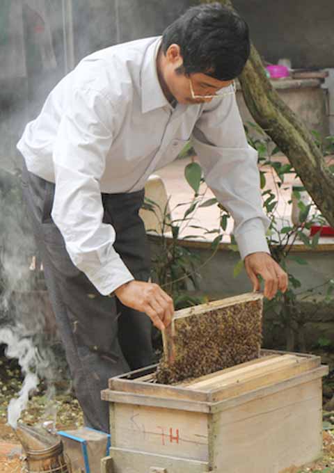 Người nuôi ong rất khó khăn vì giá mật thấp, hạn chế đầu ra (ảnh minh họa)    