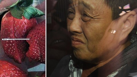 Bà My Ut Trinh bị cáo buộc là thủ phạm nhét kim khâu vào trong các quả dâu tây được bày bán ở siêu thị tại Australia.