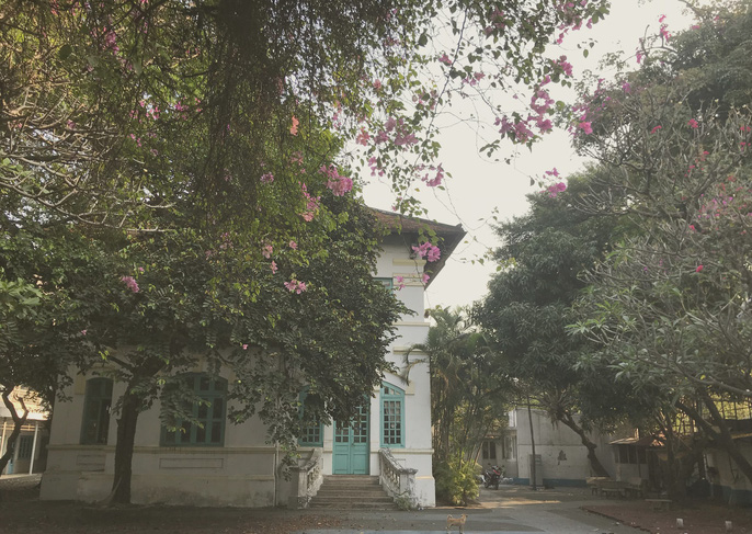 Một căn biệt thự cổ thời Pháp nằm ở đầu đường Tú Xương, quận 3, TP HCM với hàng bông giấy đầy lãng mạn.