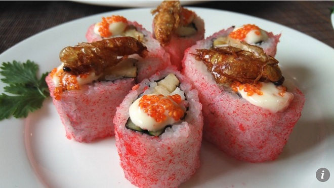 Gián được chế biến làm món sushi.