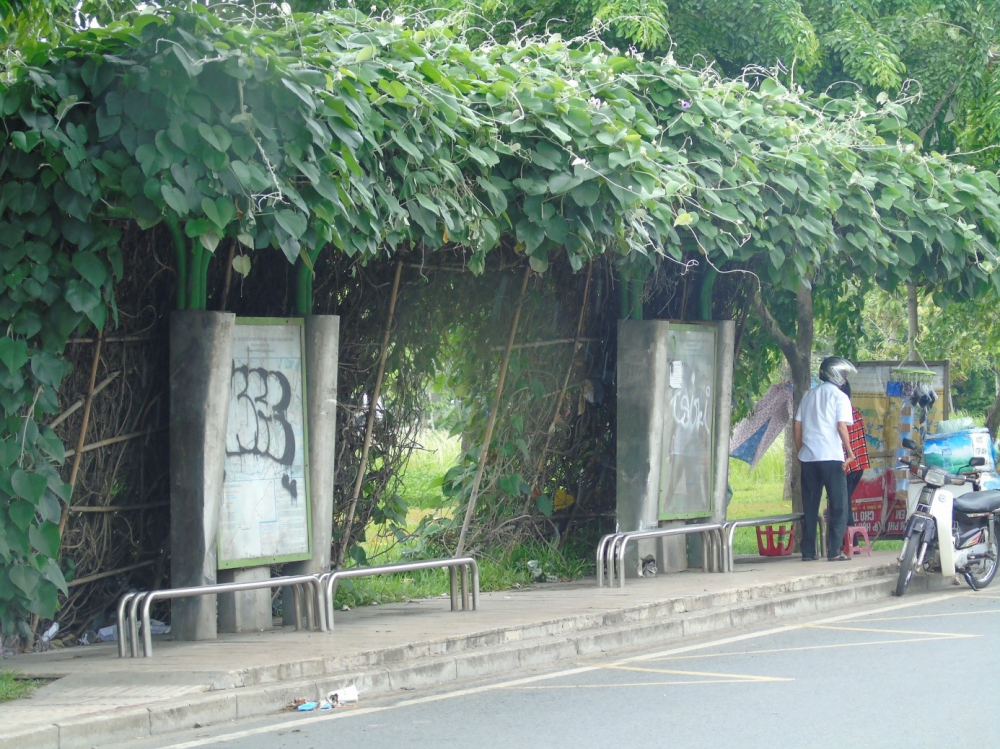 trạm xe bus cây cối mọc um tùm - bảng chỉ dẫn bị hư hại. (Ảnh: M.T)