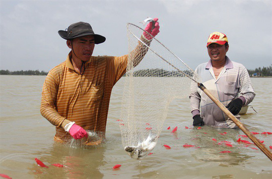 Cá sau khi gỡ khỏi lưới được cho vào vợt tránh bị nhảy ra ngoài  