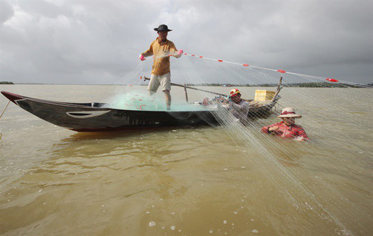 Sau khi bắt cá xong, lưới được gom lên thuyền và di chuyển đến nơi khác tiếp tục đánh bắt    