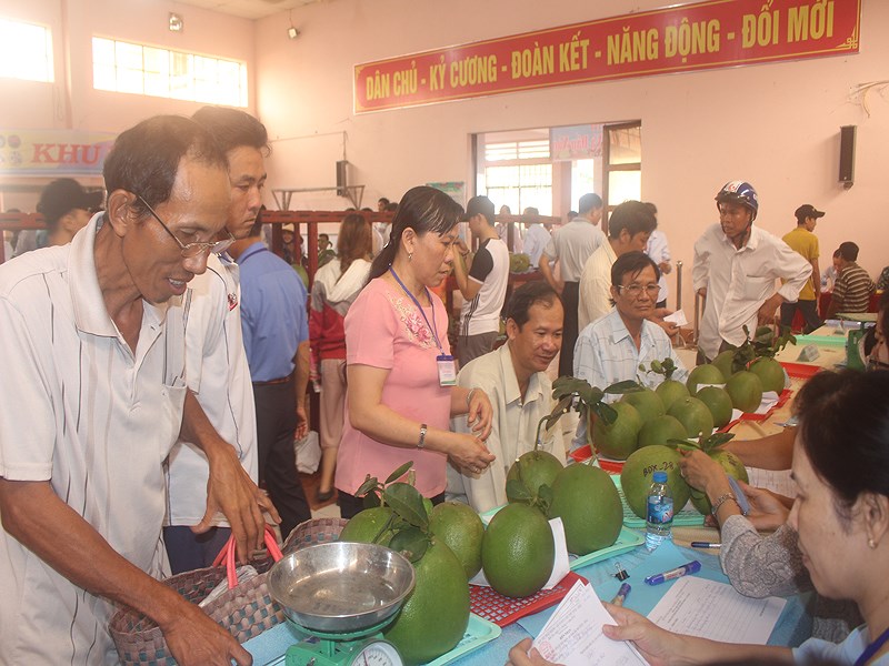 Nông dân hào hứng đem trái ngon đến lễ hội dự thi sản phẩm trái ngon.
