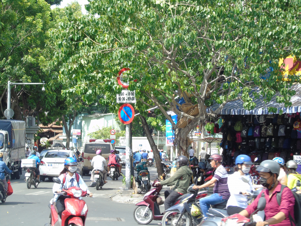 Tại ngã tư đường Nguyễn Trãi (Q.1) và Nguyễn Văn Cừ một biển báo cũng bị khuất bởi cây xanh bên đường.