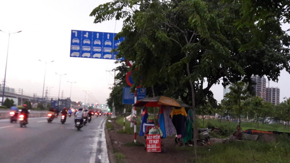 Trên Xa lộ Hà Nội tình trạng cây xanh che lấp các biển rất phổ biến.
